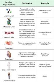 Hartnell College Biology Tutorials Biology College Biology Lessons Biology Classroom