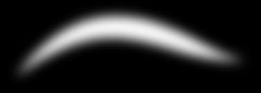 東京都立西高等学校卓球部-創立記念の歴史