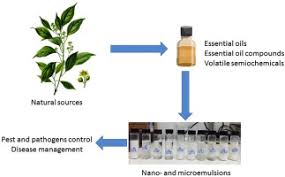 After a few years of defoliation, deciduous trees and shrubs may weaken and die. Emulsions Containing Essential Oils Their Components Or Volatile Semiochemicals As Promising Tools For Insect Pest And Pathogen Management Sciencedirect