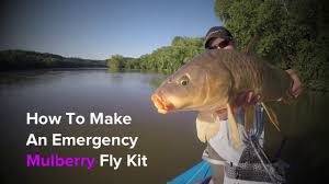 Grass carp are recommended as a biological control for succulent aquatic plants and triploid populations have been produced in order to limit gcrv was first isolated from dying grass carp (c. The Ultimate Guide To Fly Fishing For Carp