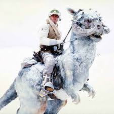 17 Reasons You Should Definitely Bring A Sweater Classic Star Wars Empire Strike Star Wars Empire