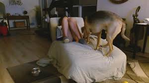 Dazeydo Top Porn Video [Chaturbate] - fingerpussy, asmr, party, lingerie