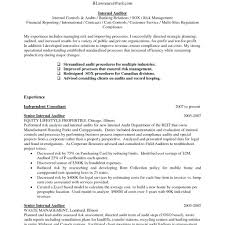 audit associate resume examples 2019