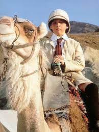 There are two types of camels: Camel Indiana Jones Wiki Fandom