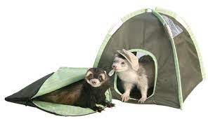 32 Things You Ll Totally Need When You Go Camping Pet Camping Pets Tent