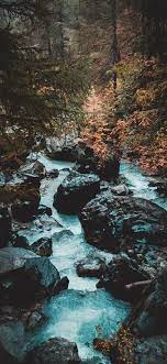 Check spelling or type a new query. 272169 Adventure Hikine Landscape And Treesnature Hd Huawei Y9 Prime 2019 Wallpaper Full Hd 1080x2340 Mocah Hd Wallpapers