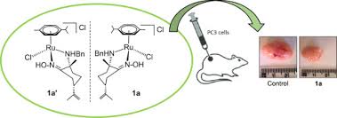 Rowiki miracolul de la sf. Biological Evaluation Of Water Soluble Arene Ru Ii Enantiomers With Amino Oxime Ligands Sciencedirect