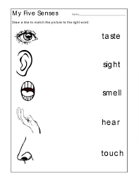 Preschool Activity Sheets With Fun Exercises Five Senses Worksheet Free Kindergarten Worksheets Kindergarten Worksheets Printable