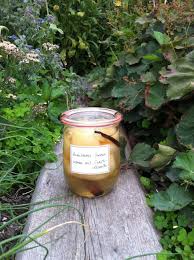 Rosenheimer Sommerbirnen Mit Tahitivanille Birne Susse Sauce Und Marmelade Kochen