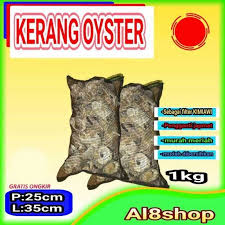 Kita semua tahu, ikan koi itu 'manja'; Jual Kerang Oyster Media Filter Kolam Ikan Koi Filter Kimiawi Ph Air Termurah Terbaru Juli 2021 Blibli