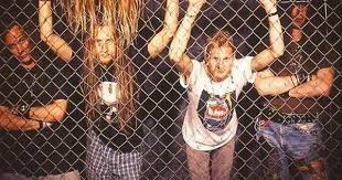 Alice In Chains Backyard Fences