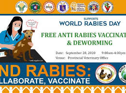 The difference in service is incomparable. Veterinary Cavite