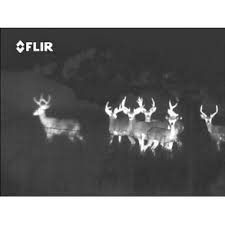 Check spelling or type a new query. Flir Scout Iii 640 Infrarotkamera Warmebildgerat Zur Jagd