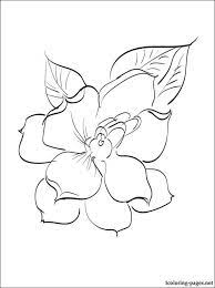 Pin On Tattoo