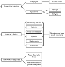 streptococcus pyogenes an overview sciencedirect topics