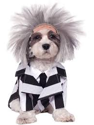 Beetlejuice Costume For Pets Pet Halloween Costumes Dog Costumes Funny Pet Costumes