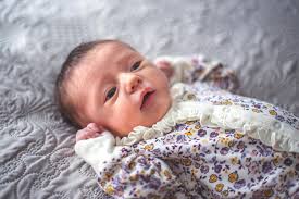 Monkey Ink Photography