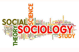 Social Science On Cults Social Science Degree Sociology Social Science