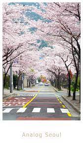 Choose from over 20+ professionally . Analog Film Filter Seoul For Android Apk Download