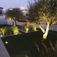 Pin On Outdoor Lighting Landscape Lighting Lumo Fze Www Lumo Ae