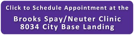 Free spay and neuter san antonio 2021. Spay Neuter