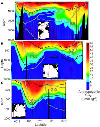 the oceanic sink for anthropogenic co2