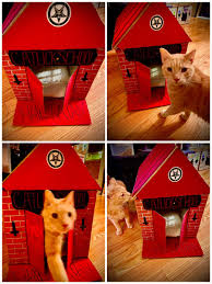 Catlick Cat House Cardboard Cat House Cat Playhouse Cats