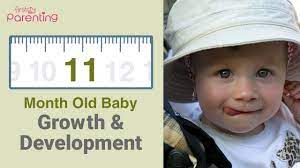 11 Month Old Baby Development Activities Care Tips Youtube