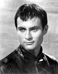 THE HOUSE OF FRADKIN-STEIN: JOHN PHILLIP LAW: The Films