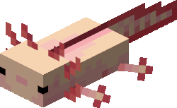 While playing dead, the axolotls regenerate their health. Axolotl Gallery Minecraft Wiki Fandom