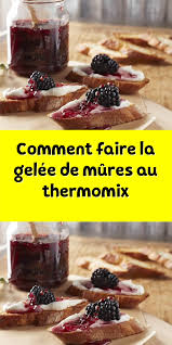 Comment Faire La Gelee De Mures Au Thermomix En 2020 Idee Recette Thermomix Recette Gelee Gelee De Mures