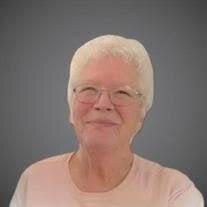 Virginia L. Hodgins Obituary (2025)