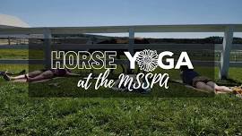Outdoor Yoga at the Horse Farm