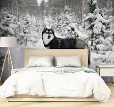 Forest wall murals at muraledesign.com shop 100's of forest wall murals and wallpaper murals of forest scenes. Winter Forest And Husky Dog Wall Mural Tenstickers