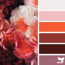 Výsledek obrázku pro colour seeds