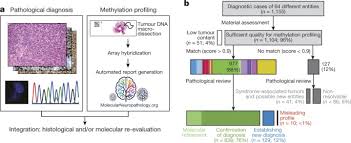 It features live tracking of all participants (without using their phones), social media integration, interactive course maps. Dna Methylation Based Classification Of Central Nervous System Tumours Nature