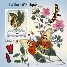 Image result for Heterotis decumbens