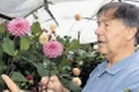 Oh, happy dah-lia . . . show day's