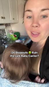 How to Clean Rachel Ray Carrier