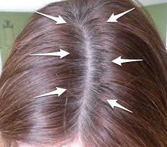 If you prefer a lighter touch, don't have too dyeing gray hair: Cover Grey Hair Between Colorings Covering Gray Hair Roots Hair Gray Hair Solutions