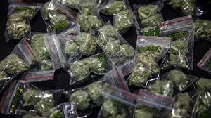 Dans cette perspective, le rapport analyse la légalisation en cours au canada et dans 15 états américains, qui. Legalisation Du Cannabis Ce Serait Galere Pour Les Dealers