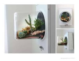 You don't want it to outgrow its space too soon. Diy Miniature Terrariums Made From Upcycled Things
