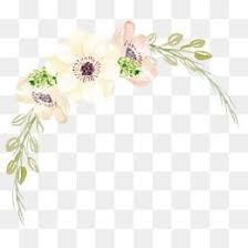Watercolor Flowers Watercolor Clipart Cartoon Hand Painted Png Transparent Clipart Image And Psd File For Free Download Watercolor Flowers Flower Png Images Watercolor Clipart
