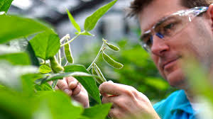 Fields of Opportunity