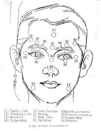 Chinese Face Reading Chart Google Search Chinese Face