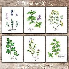We did not find results for: Botanical Kitchen Herbs Wall Art Botanical Herbs Prints Set 8x10 Dream Big Printables