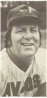 Intercounty Baseball Senior Series