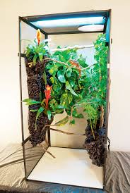 We did not find results for: Panther Chameleon Care Information Reptiles Magazine