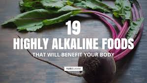 19 Highly Alkaline Foods That Will Benefit Your Body Yuri