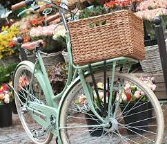 She agreed to be in the pictures. Lovely Indeed Page 2 Of 290 The Things That Make Life Lovely Green Bicycle Bicycle Beautiful Bicycle